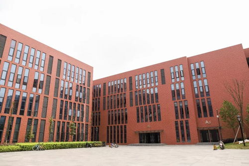 成大,你早就該驚艷全國了