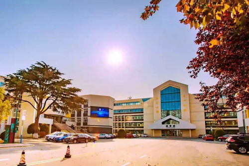 喜報 青島藝校獲得 省級文明校園 榮譽稱號