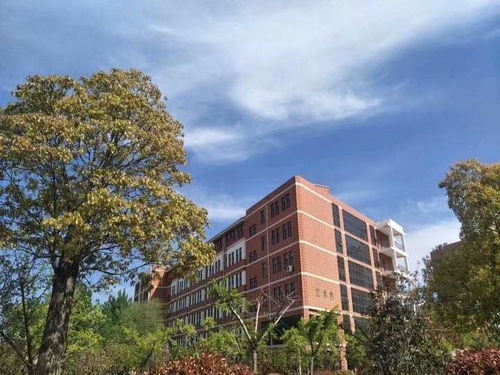 開封文化藝術職業學院廣播站 藝術之聲在校園綻放