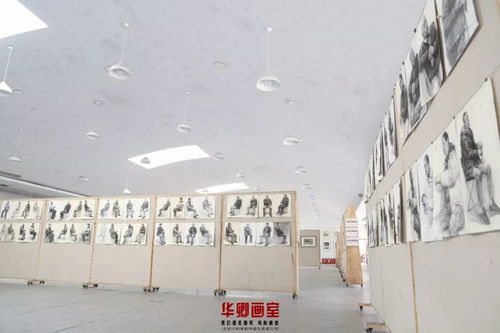 華卿校園開放日第一期 0元體驗集訓課，盧校長親筆畫等你來領